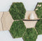 Hexagon wandtegel | Eiken | Boomstam Reliëf | Zelfklevend | ↑24CM - 21CM