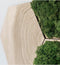 Hexagon wandtegel | Eiken | Boomstam Reliëf | Zelfklevend | ↑24CM - 21CM