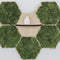 Hexagon wandtegel | Eiken | Wandplank | Zelfklevend | ↑24CM - 21CM