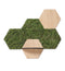 Hexagon wandtegel | Eiken | Zelfklevend | ↑21CM - 24CM