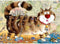 Heye legpuzzel Look Closely! At the Cat (1000 stukjes, Degano)