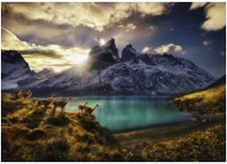 Heye puzzel Guanacos - 1000 stukjes