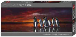 Heye Puzzel Panorama Pinquins 1000