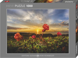Heye Puzzle Puzzel Cloudberries 1000 Heye 30016.