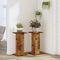 vidaXL - Plantenstandaards - 2 - st - 30x30x60 - cm - bewerkt - hout - oud - houtkleurig