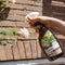 Pokon Bio Kuur - Spray - 750ml - Verhoogt plantweerbaarheid - Fungicidevrij