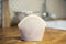 Food Huggers Food Hugger Bag - 400 ML - Champagne Frost - Opbergtas - Voedselcontainer - Keukenorganisatie
