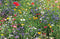 Customize it - Tuindoek bloemenveld 210x140cm