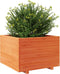 vidaXL - Plantenbak - 70x70x49,5 - cm - massief - grenenhout - wasbruin