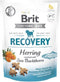 Brit Care Hond Herstel&Haring - Honden traktatie - 150 g