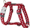 Hondentuigje Red Dingo Rood Ster Wit 37-61 cm