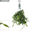 Goed & Groen - Rhipsalis occidentalis - ↨ 35cm - Potmaat 17 - Exclusieve Kwaliteit Planten - Kamer Plant - Kamerplanten - Sfeer - Interieur