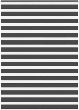 vidaXL - Zebra - rolgordijn - 160x230 - cm - stofbreedte - 155,9 - cm - zwart