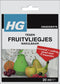 HGX fruitvliegjesval 1st