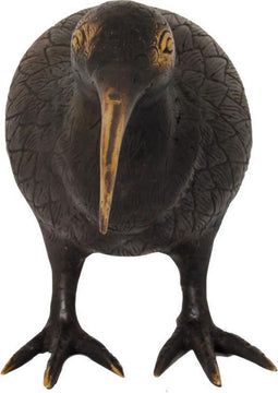 Pole to Pole - Kiwi Bird S