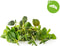 Click & Grow Calming Tea Mix /9-pack