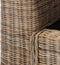 vidaXL Fauteuil met kussens natuurlijk rattan