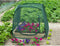 Nature - Insectennet voor pop-up Tuinkas - 100 x 100 x 100cm - vierkante meter tuin