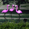 HI Solar Led Flamingo Tuinlampen - 3 stuks - Tuinverlichting