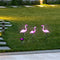 HI Solar Led Flamingo Tuinlampen - 3 stuks - Tuinverlichting