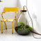 Growing Concepts DIY Duurzaam Ecosysteem Giants Ecolight XXXL - 34 Liter - Planten - Botanische Mix - H52xØ48cm