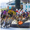 HideMyBell Raceday S5 (Cervélo S5) - Carbon