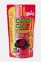 Hikari Cichlid Gold Large