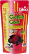 Hikari Cichlid Gold Large