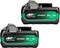 Hikoki 380205 Accu Set Twin Pacl 2X MULTI-VOLT ACCU 36V 2.5AH/18V 5.0AH - 380205