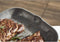 BALLARINI 75002-941-0 pan Grillpan Vierkant