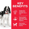 Hill's Hsp Canine Adult Beef | 370