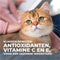 Hill's Science Plan Kattenvoer Adult Multipack Classic Selection 12 x 85 gr