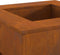 vidaXL - Vuurkorf - - - Vierkant - 60x60x30 - cm - - - Weervast - Staal