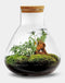 Erlenmeyer L Bonsai