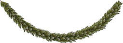 Triumph Tree Pittsburgh Guirlande - L270 cm - Groen