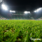 Organifer - Gazon Topdressing - Mix met Mycorrhiza en Rhizobacteriën (12x = 600 Liter - voor 600 m2)