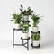 Plant in a Box - Luchtzuiverende kamerplanten - Mix van 5 stuks - Pot 12cm - Hoogte 25-40cm