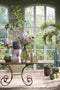 Mica Decorations Lantaarn Helios - 42x42x55 cm - Polyester - Donkerbruin