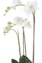 Emerald Kunstplant vlinderorchidee 70 cm wit
