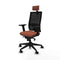 Piqueras y Crespo 2D066N2 - Bureaustoel - Hoofdsteun Verstelbare Hoogte - Bruin Zwart