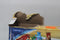 LEGO Disney - Lilo en Stitch strandhuis (43268) - 834 steentjes - 5 minifiguren