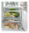 Liebherr ICBNd 5153 Prime - Koel/vriescombinatie - BioFresh - Ingebouwd