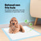 Jake and Jacky Puppy Training Pads - Zindelijkheidstraining Hond - 6-laags sterk absorberend - 60 x 60 cm (180 stuks)