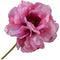 Klaproos steel mauve/groen rt 73 cm Silk-Ka