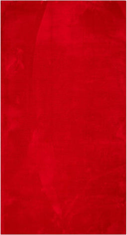 vidaXL - Vloerkleed - HUARTE - laagpolig - zacht - wasbaar - 60x110 - cm - rood