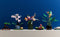 LEGO Icons Orchidee - Botanische Collectie - 10311 - 608 onderdelen