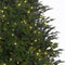 Black Box Trees Frasier Kunstkerstboom met LED verlichting - H230 cm - groen