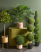 Mica Decorations Laurierboom Kunstplant - H120 x Ø40 cm - Groen