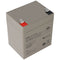 Wing ESH5.2-12 AGM lead battery 12 Volt 5.2 Ah perfect for security lighting, UPS systems, IT center
