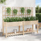 vidaXL - Tuinplantbak - met - Trellis - & - Plank - 203x53x152 - cm - Massief - Vurenhout